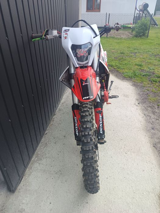 Apollo Lizard RFZ 300