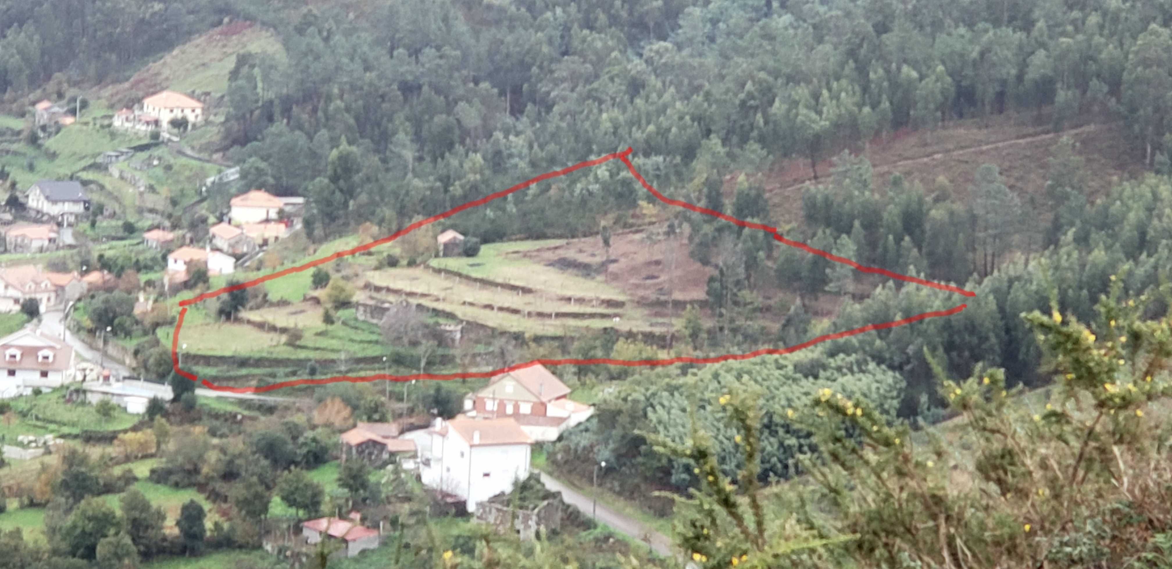 Magnifica Quinta!