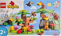 Lego duplo zestaw dzikie zwierzęta ameryki 10973