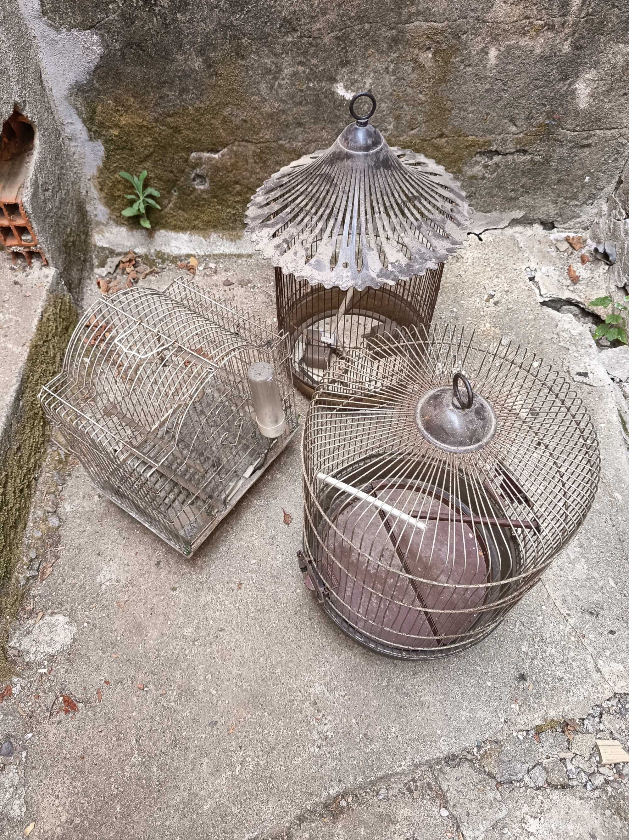 Conjunto de gaiolas-lote 180