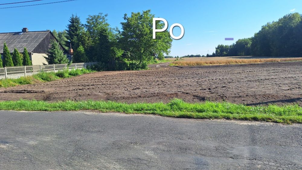 Mulczowanie, Wycinka drzew, Czyszczenie działek, Mulczer