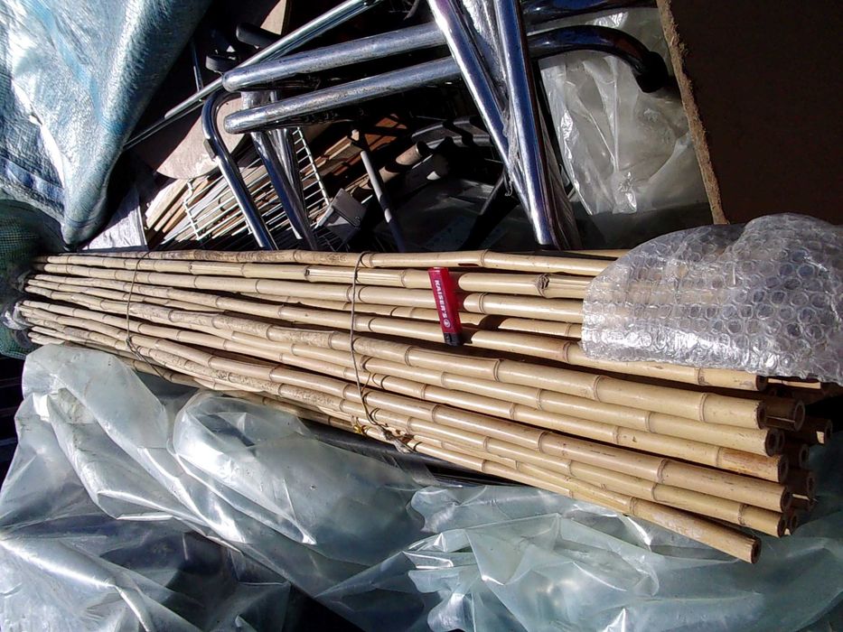 Nici w różnych kolorach