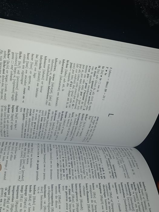 Dicionário de inglês e francês novos