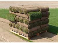 Trawa trawnik z rolki sprzedaż transport montaż wysyłki