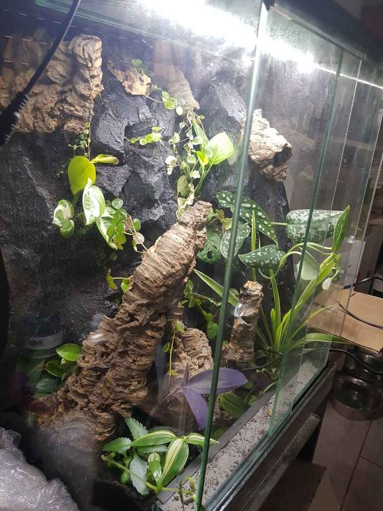 Terrarium 40x40x60 gekon