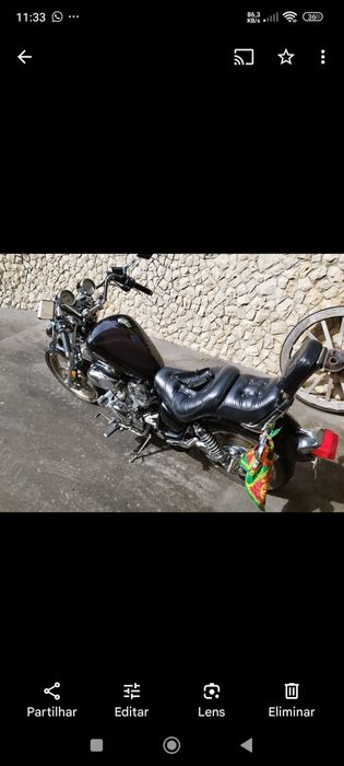 Lindíssima Virago1100