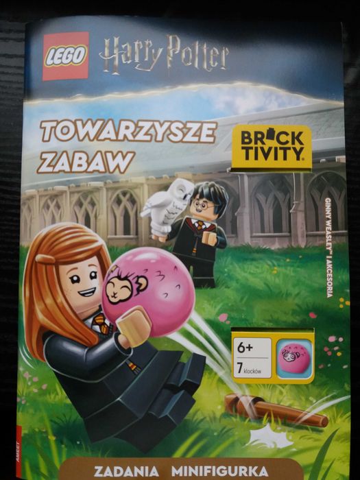Książka Ameet Harry Potter Towarzysze Zabaw