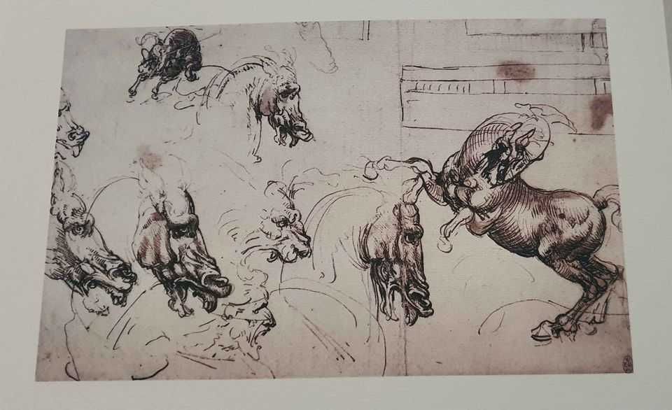 Coleção de impressões dos cavalos de Leonardo da Vinci