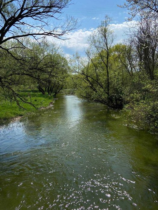 Будинок у с.Цибулівка