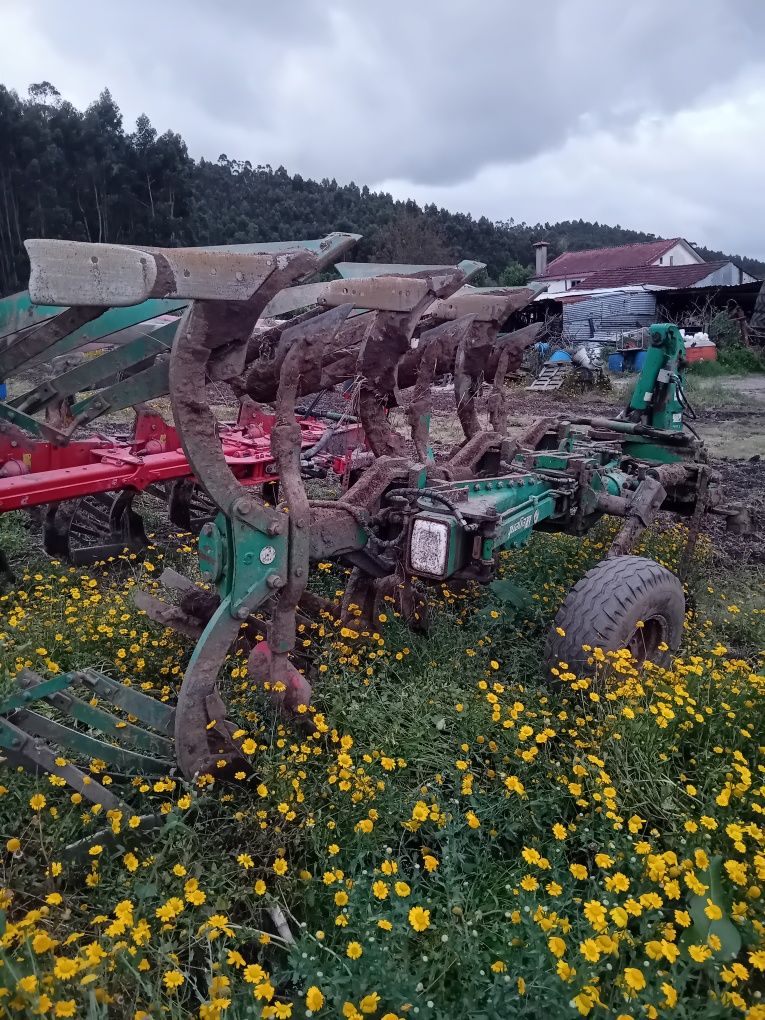 Charrua  Regent em bom estado