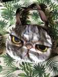 Mala Gato Rabugento