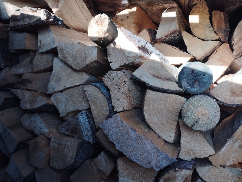 Sprzedam drzewo układane