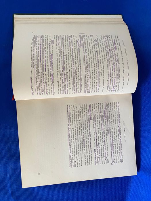 História da Literatura Italiana, Mario Sansone