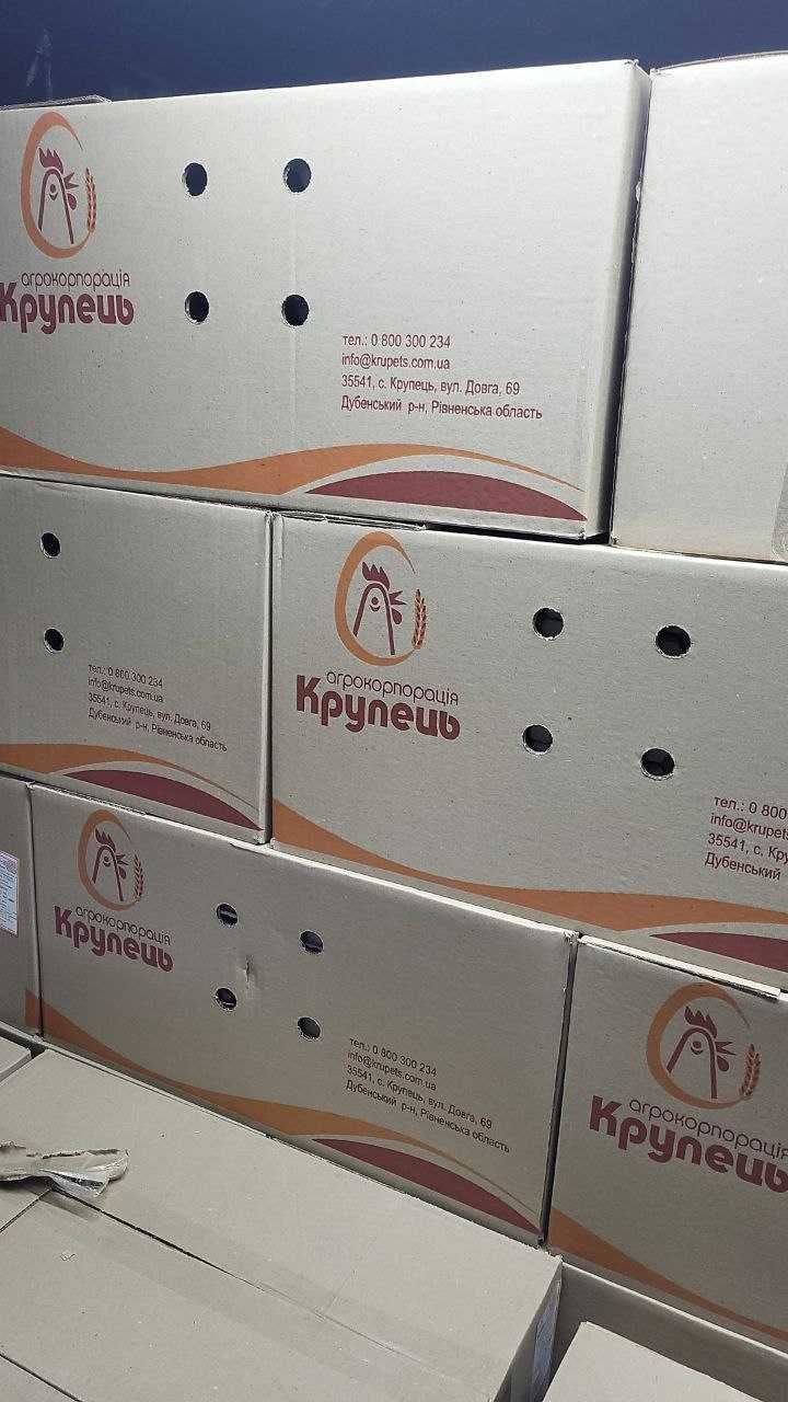 Продажа яйца куриного