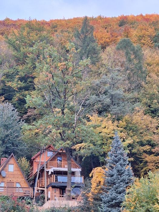 Nowe Domki nad Jeziorem w Górach 50 m do wody z jacuzzi
