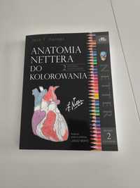 Anatomia Nettera do kolorowania John T. Hansen