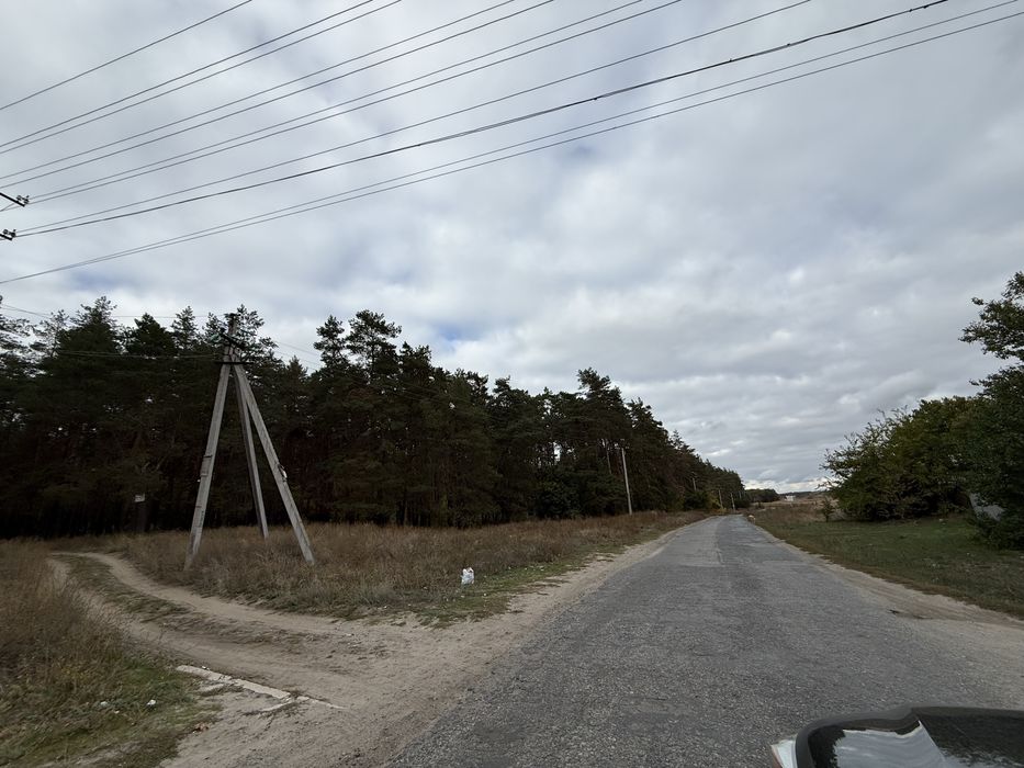 Продам участок с. Орловщина возле соснового леса