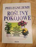 Pielęgnujemy rośliny pokojowe poradnik Jurgen Wolff tanio