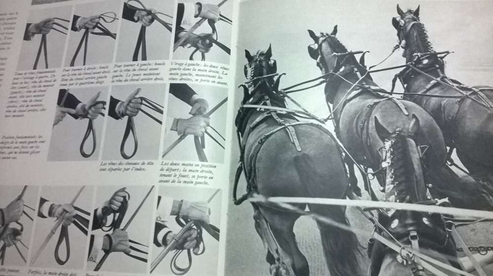 "Le Royaume du Cheval" - (Livro sobre a História do Cavalo) - 1969