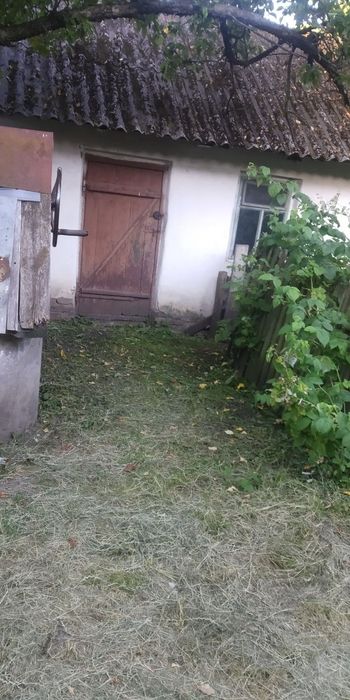 Продам будинок в селі Бабушки