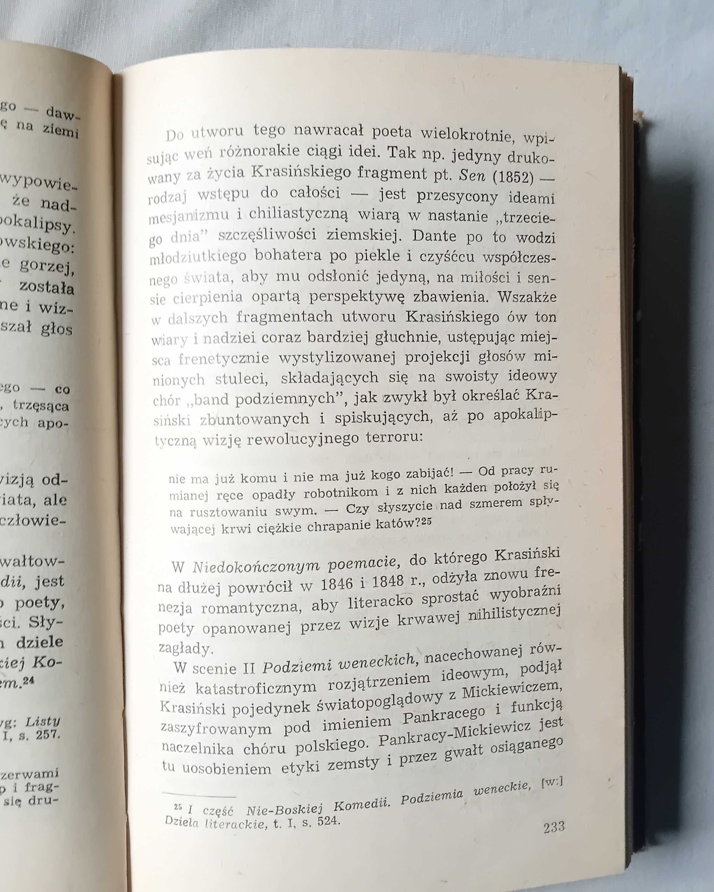 Alina Witkowska. Wielcy romantycy polscy. Sylwetki. PIW, 1980. Wyd. I.