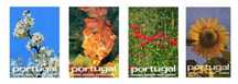 Posters de publicidade de turismo