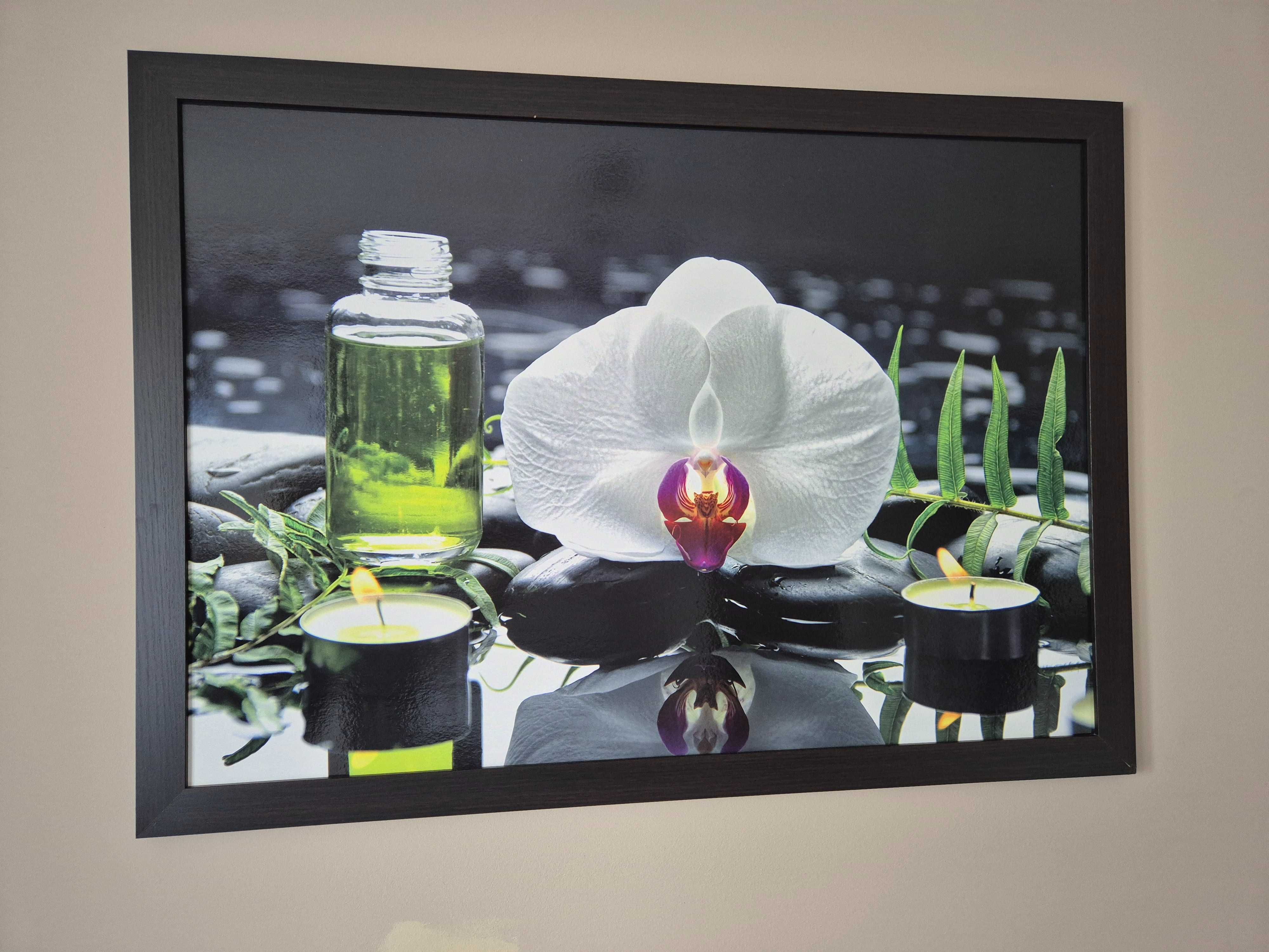 Obraz SPA orchidea