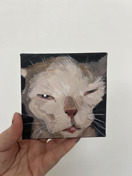 Котик мем картина