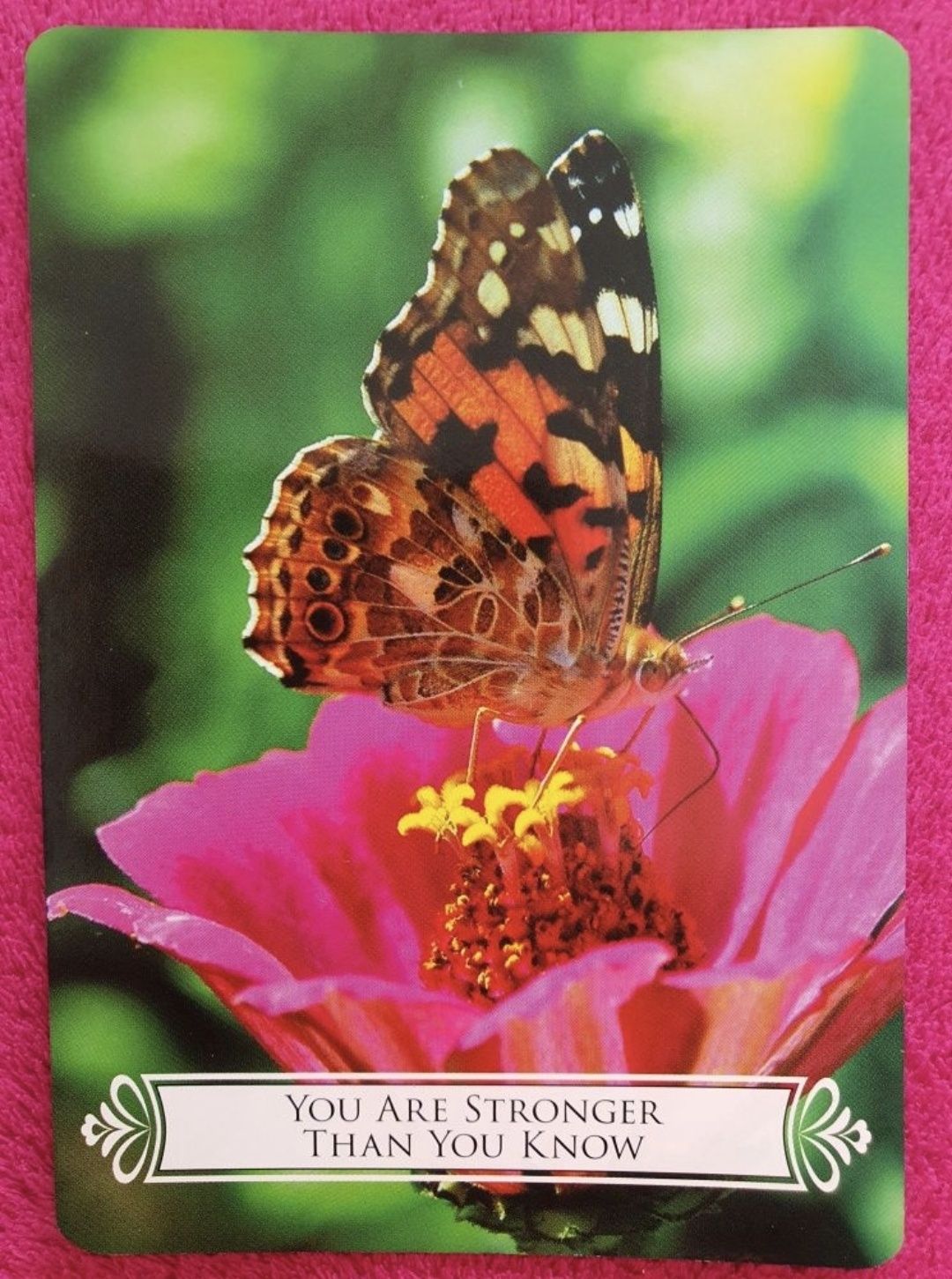 Karty Oryginalne Doreen Virtue Butterfly Oracle Cards Brak jednej kart