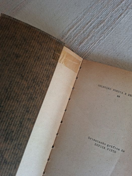 Dois livros Coleção Poesia e Ensaio da Ulisseia