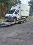 Peugeot boxer kontener mroźnia