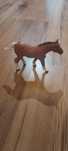 Źrebię Mojo Suffolk Punch Foal