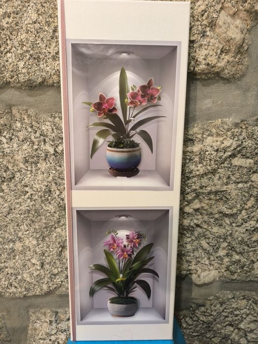 Quadros para dar vida a uma parede branca que se transforma em cores