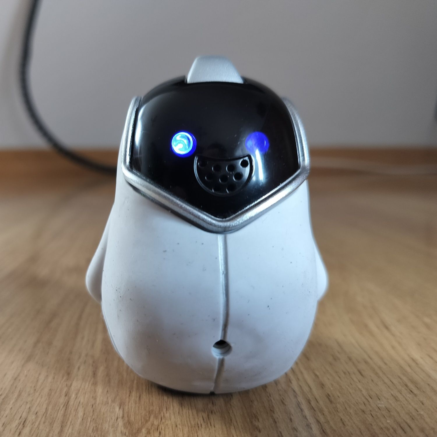 Robot Tobi Friends Chatter