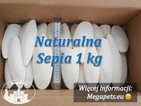Sepia Gruba 1 kg na wagę Kość Mątwy Ślimaki Papugi