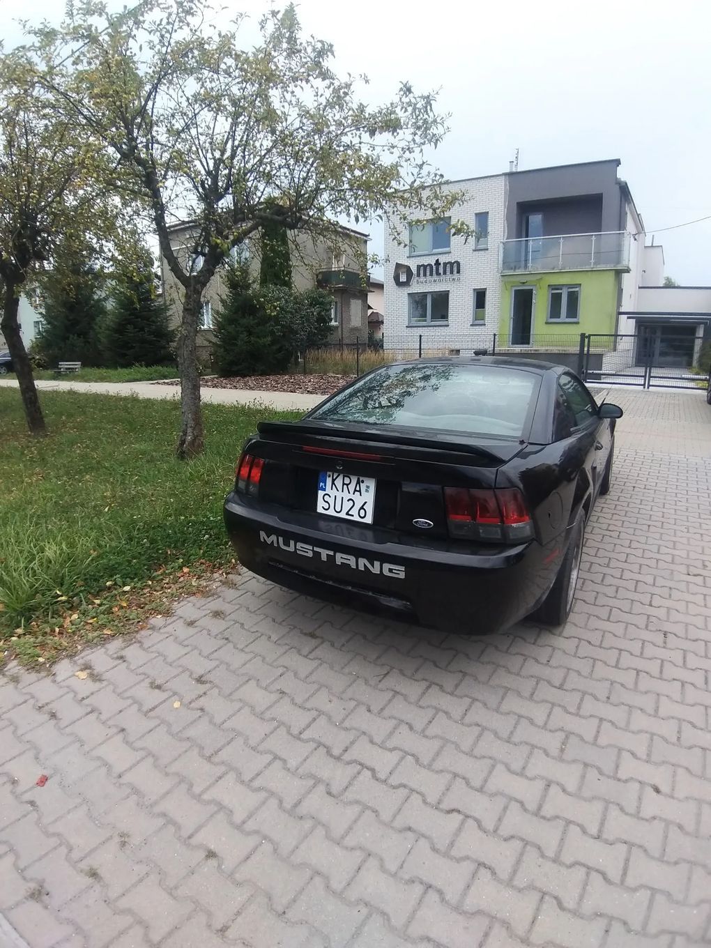 Ford Mustang Orginalny Manual