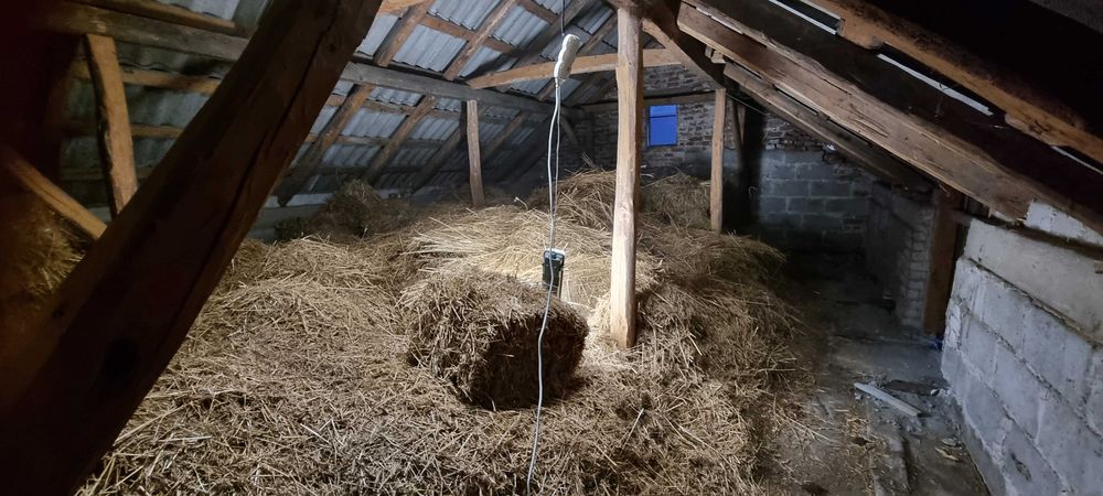 Słoma w małych kostkach