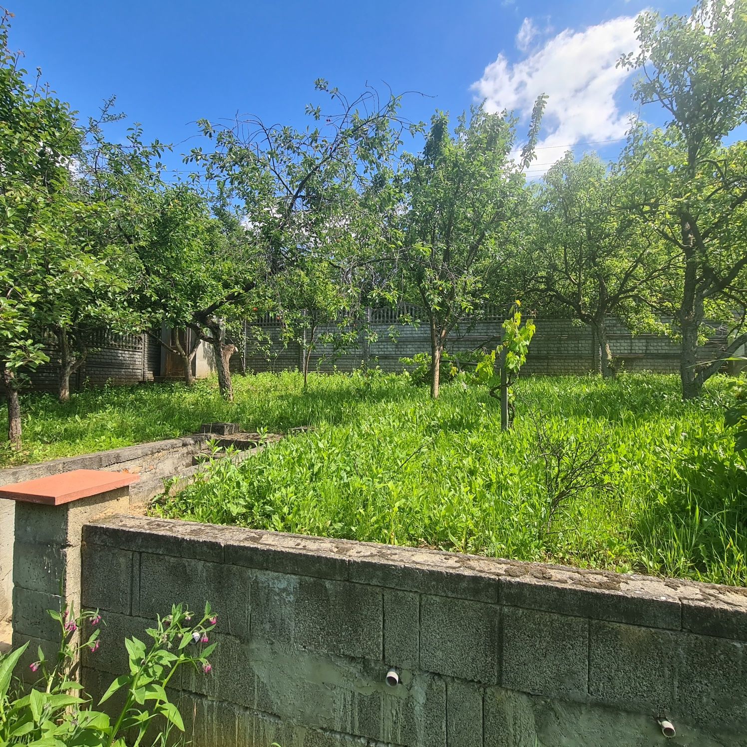 Продається дачний будинок в м.Берегове 1700м від Жайворонку