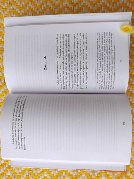 JOÃO PAULO II - O segredo que conduziu o Papa
de Aura Miguel