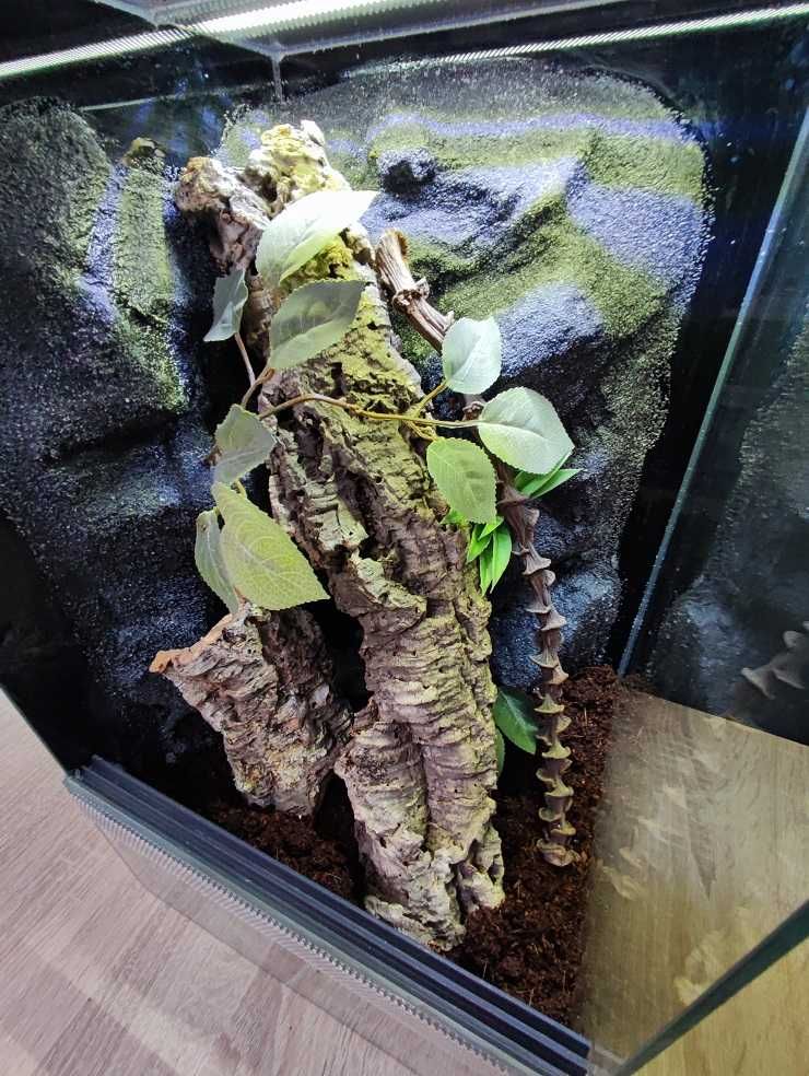 Terrarium szklane nr38 30/30/50 dla gekona orzęsionego, żab DOSTĘPNE