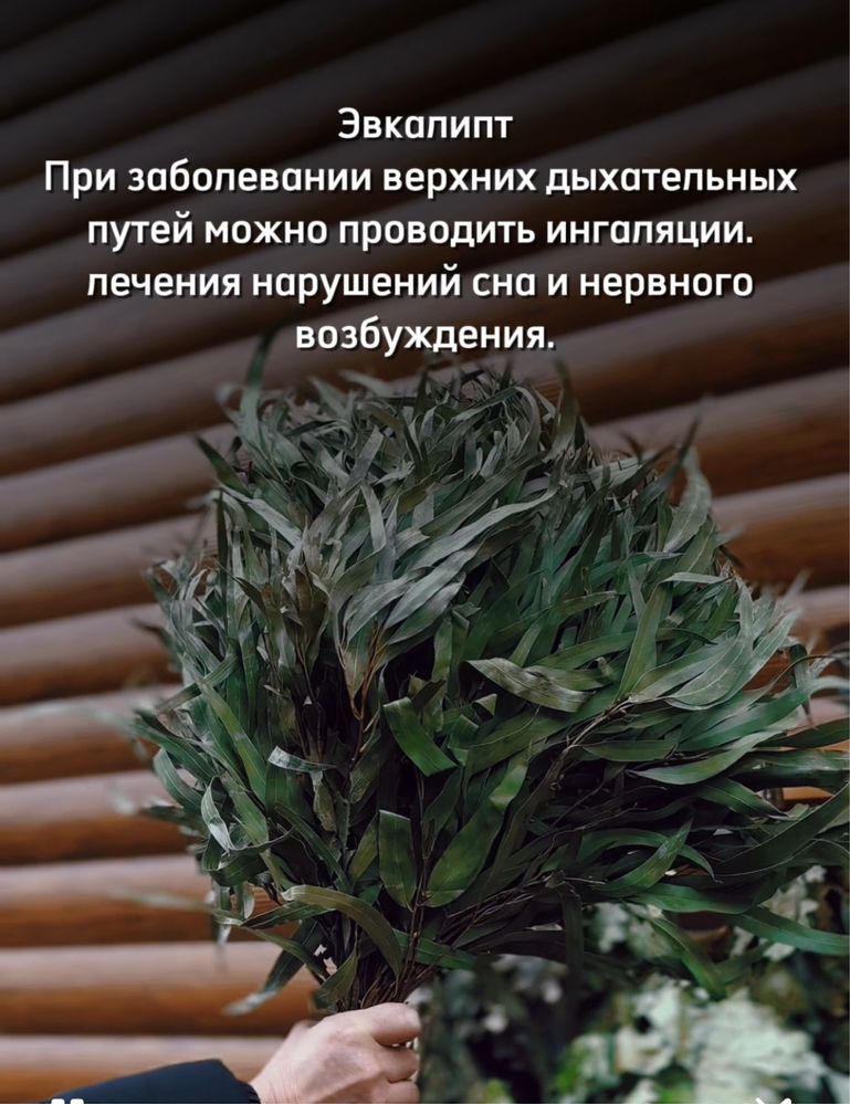 Веники для бани эвкалипт, берёза, дуб
