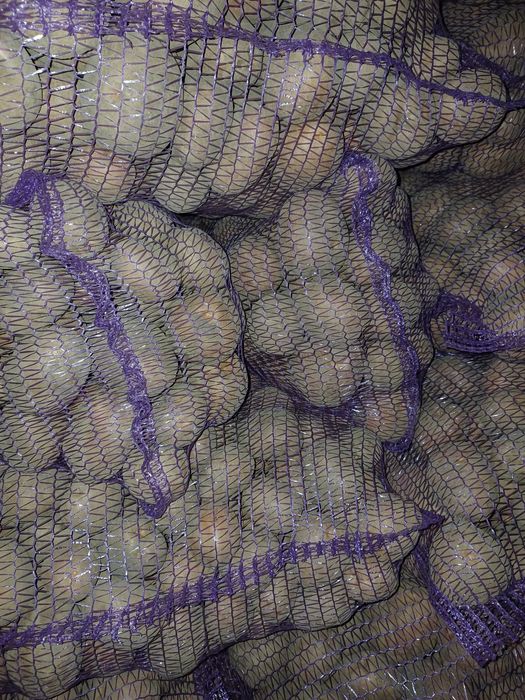 Kukurydza, zboże, ziemniaki