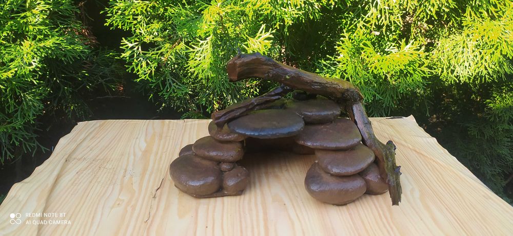 Grta do akwarium z korzeniem.