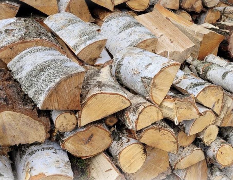 Drewno kominkowe brzozowe, brzoza