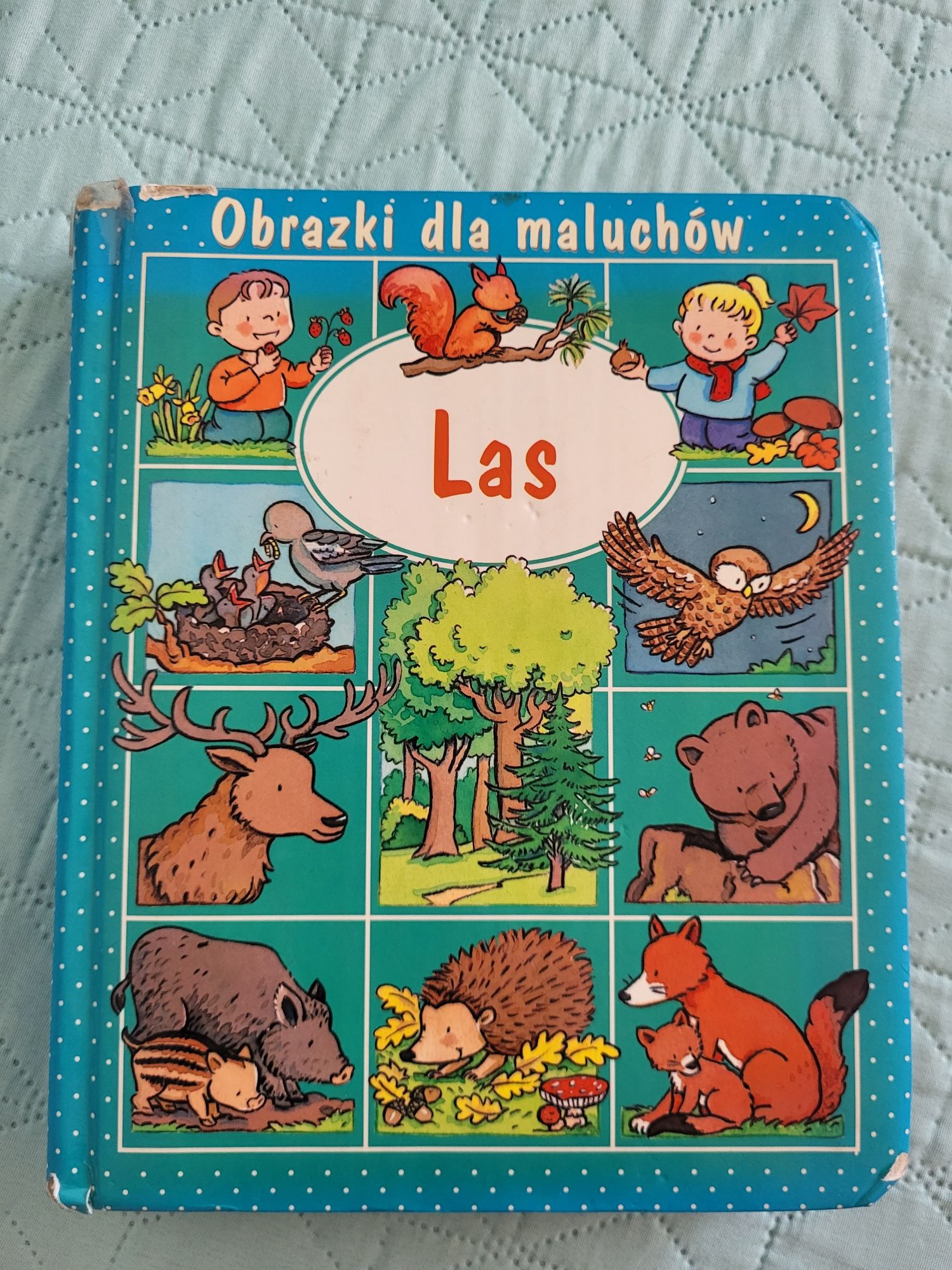 Książki Obrazki dla malucha Ciało Chrońmy przyrodę Las Dbaj o zdrowie