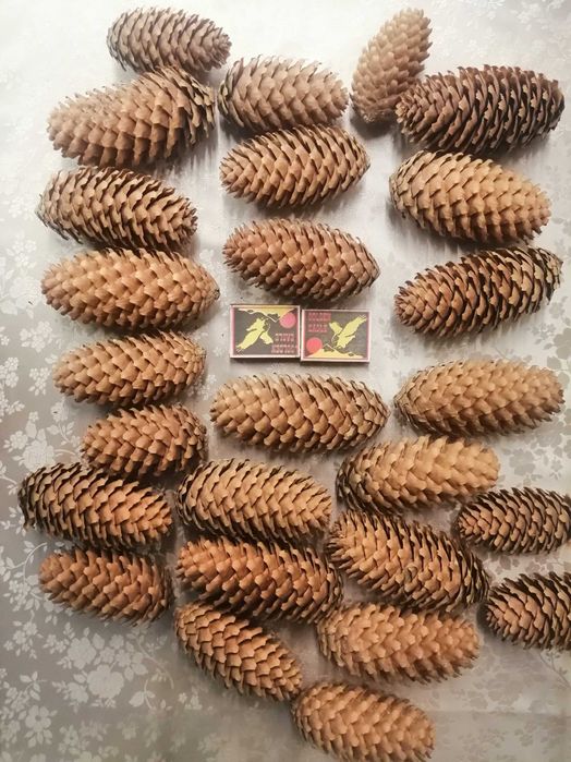 Елка искуственная