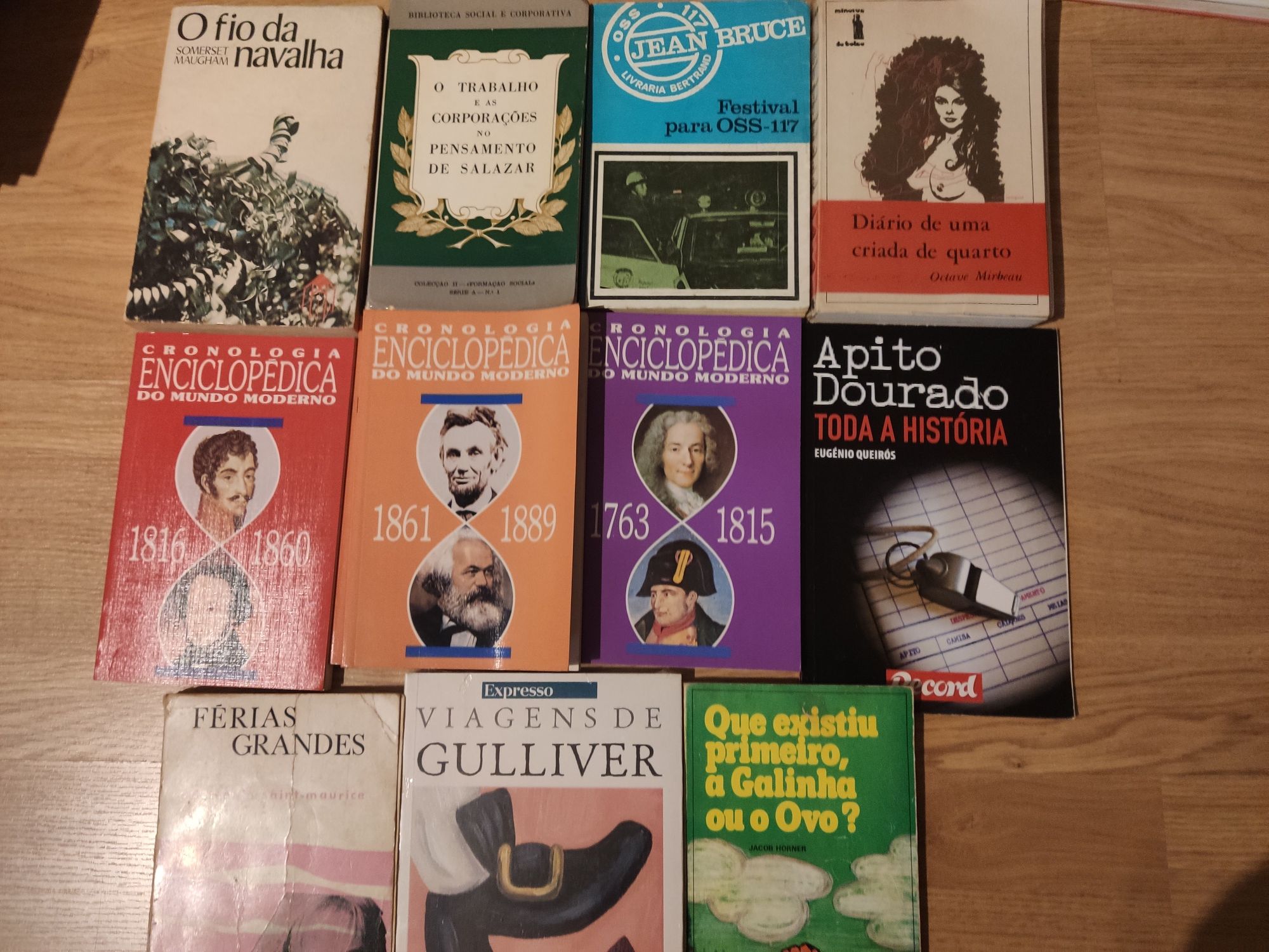 Lote 11 livros géneros variados