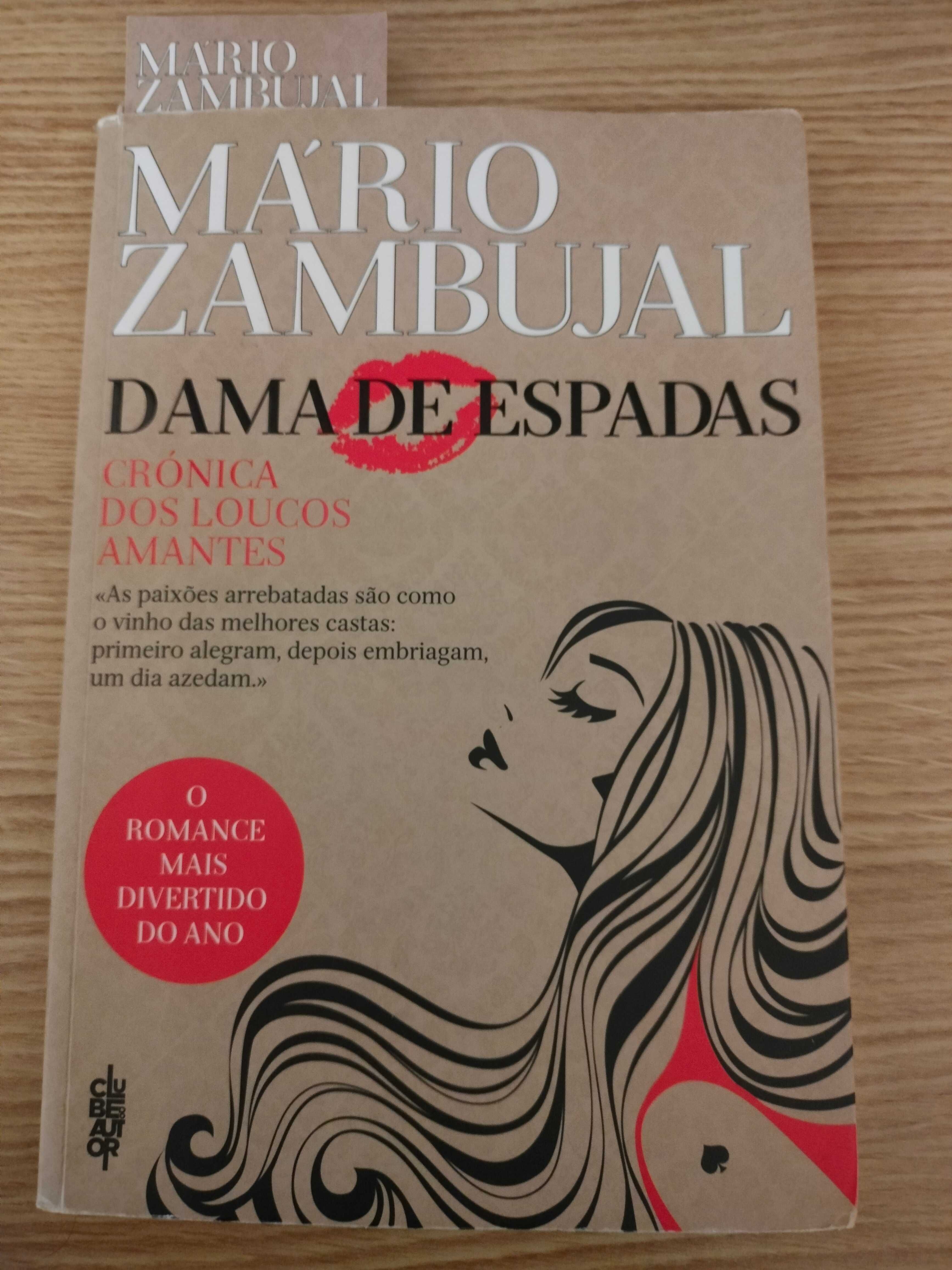 Livro Dama de espadas - Mário Zambujal