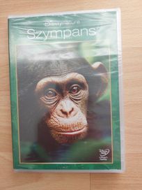 Nowa płyta DVD Szympans