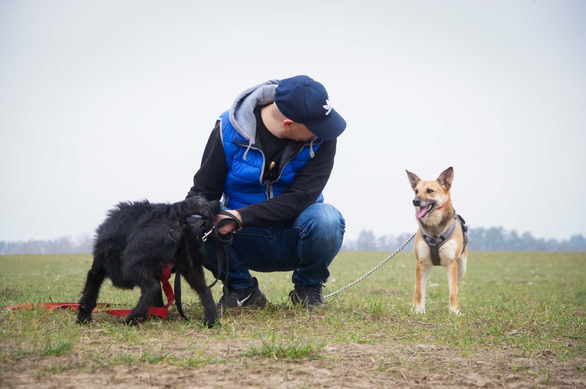 Tora - niewielka sunia, która straciła lata w schronisku...